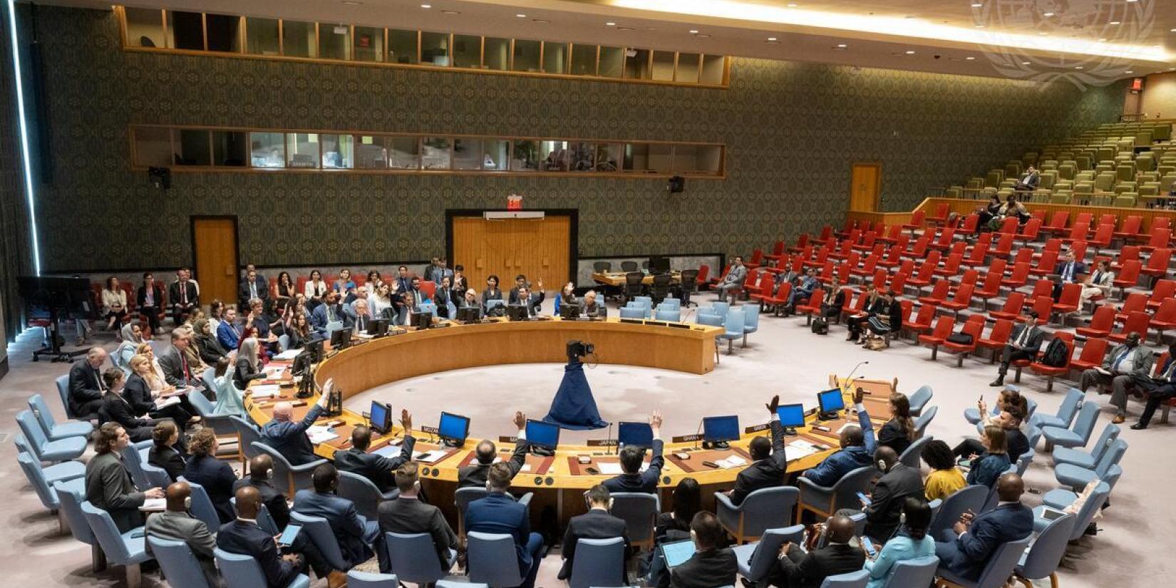 Adoption Security Council UNAMI