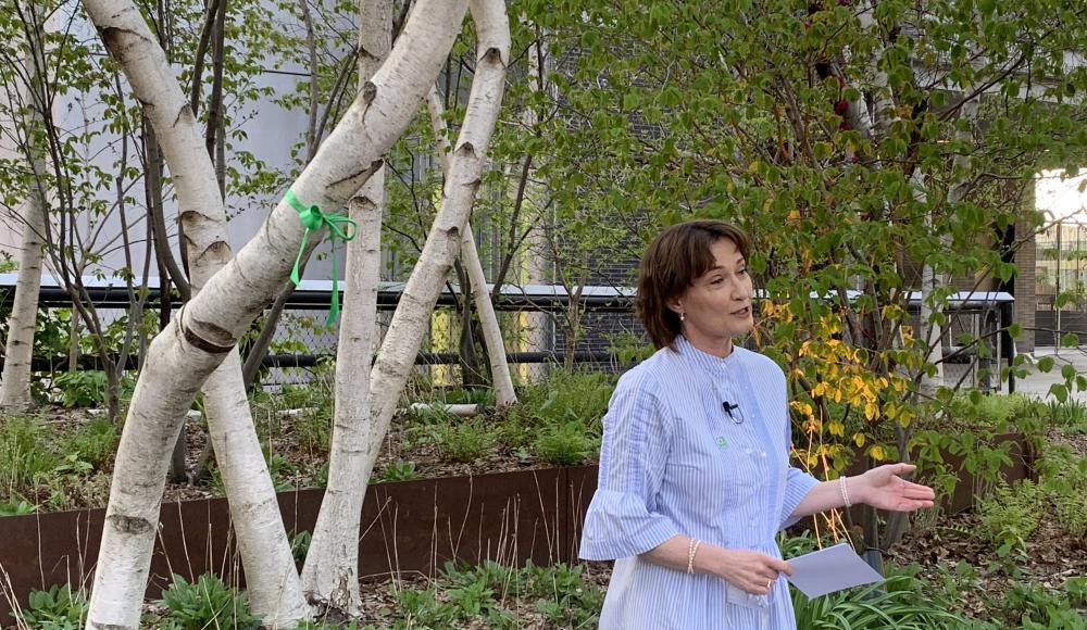 Ambassador Pascale Baeriswyl delivers her speech and adopts the tree on behalf of the “633 Third Ave Green Mission Alliance.