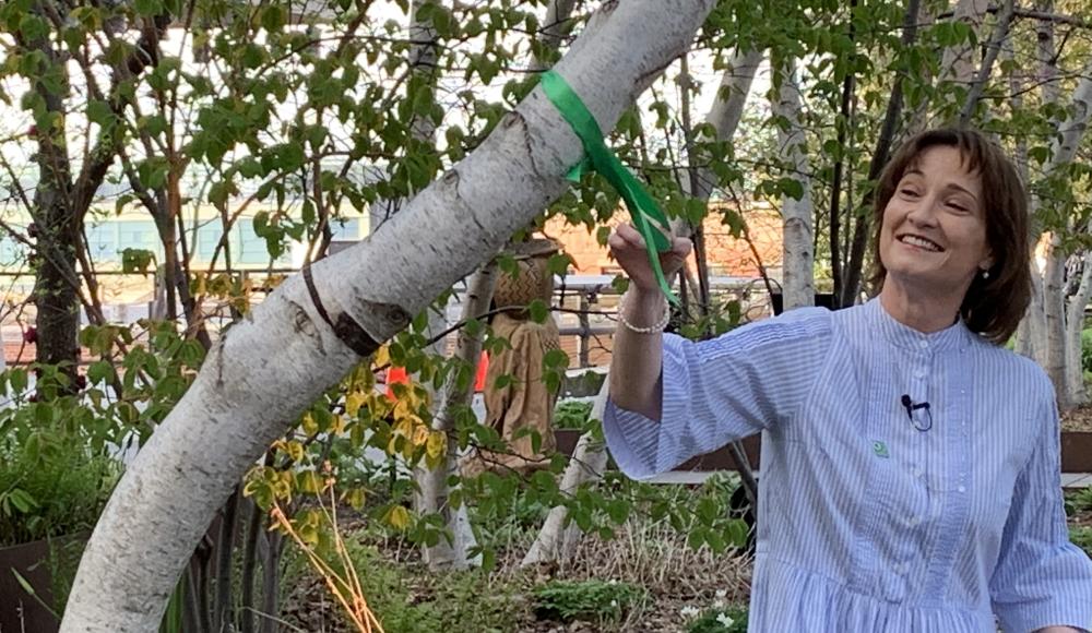 Ambassador Pascale Baeriswyl releases the adopted tree of its ribbon.