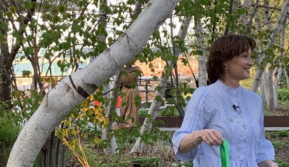 Ambassador Pascale Baeriswyl next to the adopted Gray Birch tree.